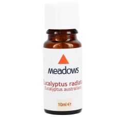 Eucalyptus Radiata Oil